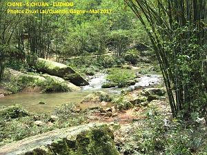 Luzhou 075